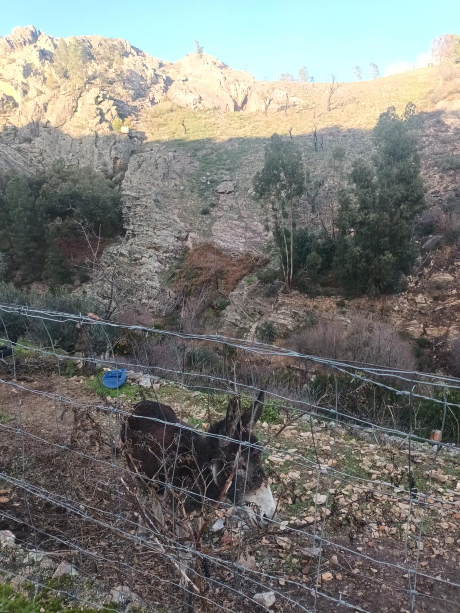 Casinha Garcia Βίλα Penha Garcia Εξωτερικό φωτογραφία